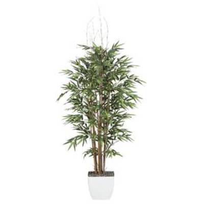 Bambou dans un pot en plastique, hauteur: 160 cm, polyester