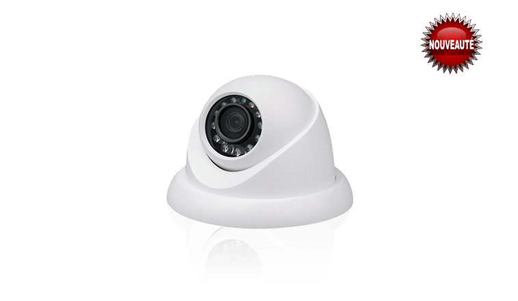 Caméra de vidéo surveillance IP 2MP