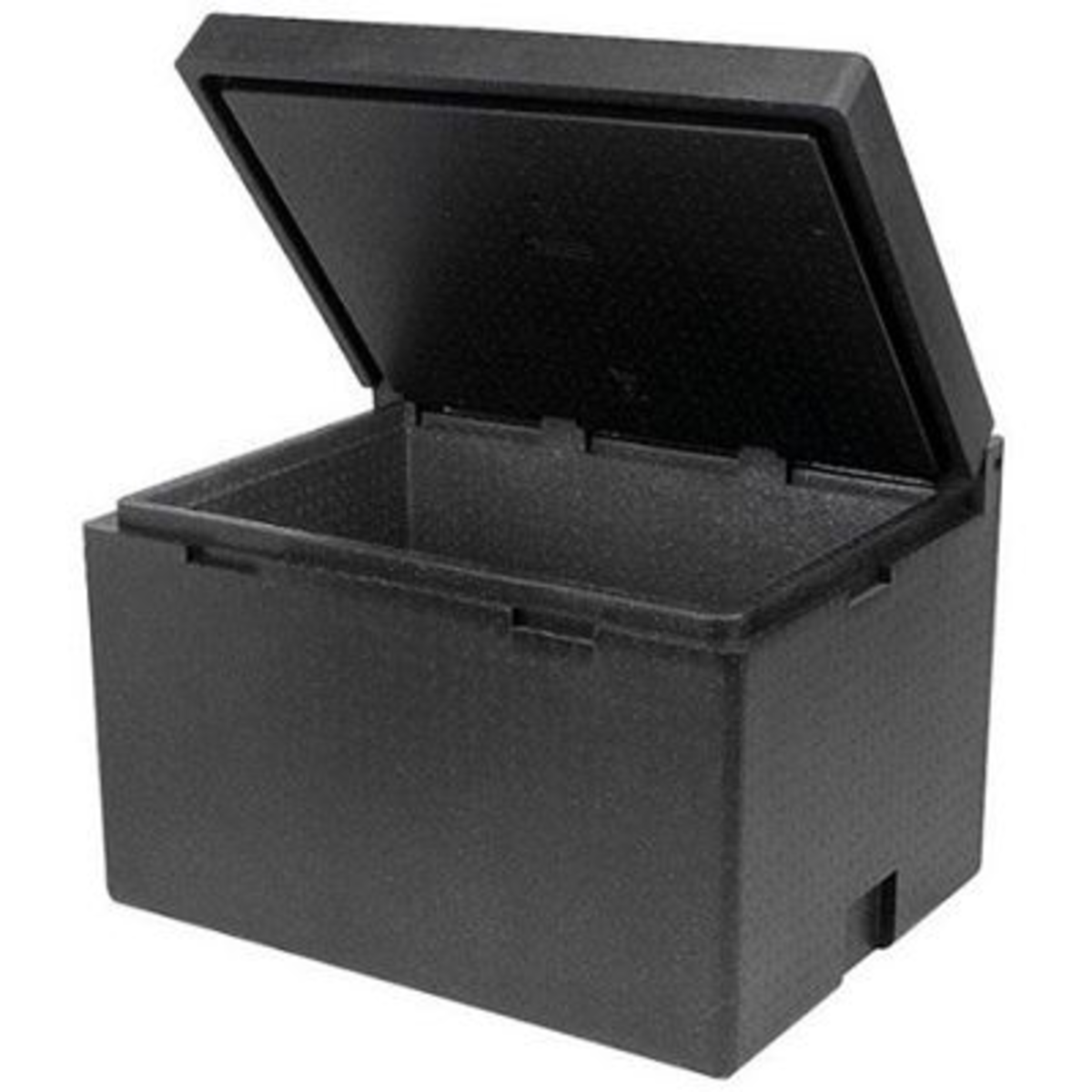 Conteneur isotherme Polibox Cargo-box
