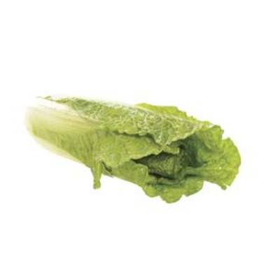 Feuille de salade décorative, Plastique, vert clair