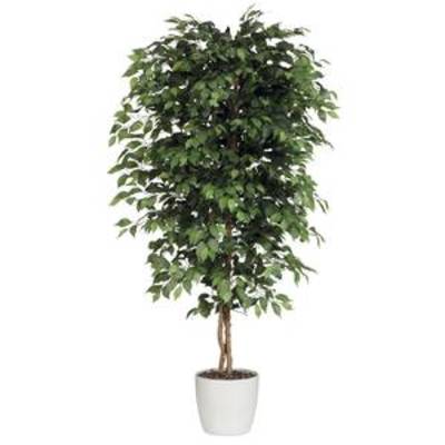Ficus benjamina, hauteur: 120 cm, polyester