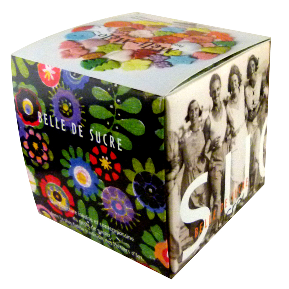 Méli-mélo de sucres moulés Belle de sucre cube 140g
