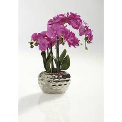 Phalaenopsis en vase ovale, hauteur: 68 cm, rosé