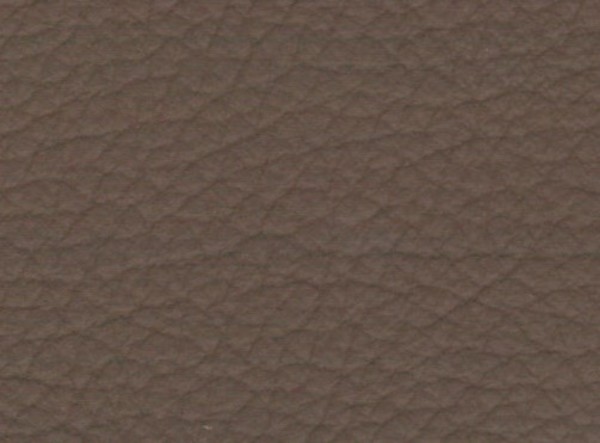 taupe 7