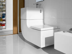 W+W  de Roca : une innovation pour la salle de bain combinant une vasque avec un WC